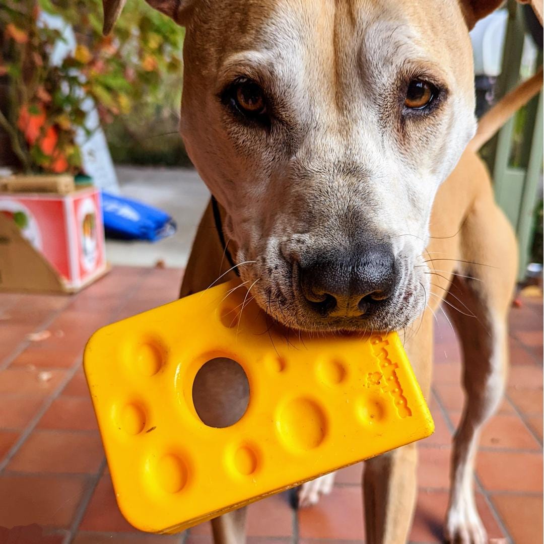 Nylon Cheese (Power Chewers)-Chew Toy-Rover Pet Products