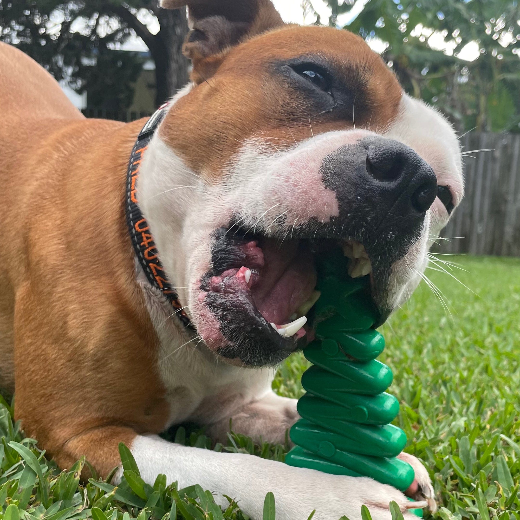 Nylon Christmas Tree-Dog Toy-Rover Pet Products