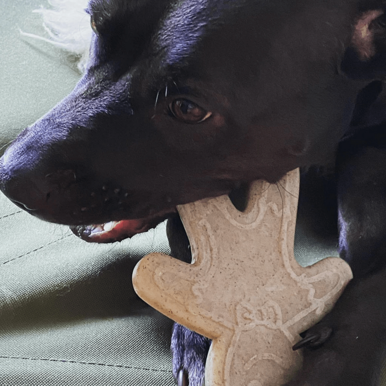 Nylon Gingerbread Man-Dog Toy-Rover Pet Products