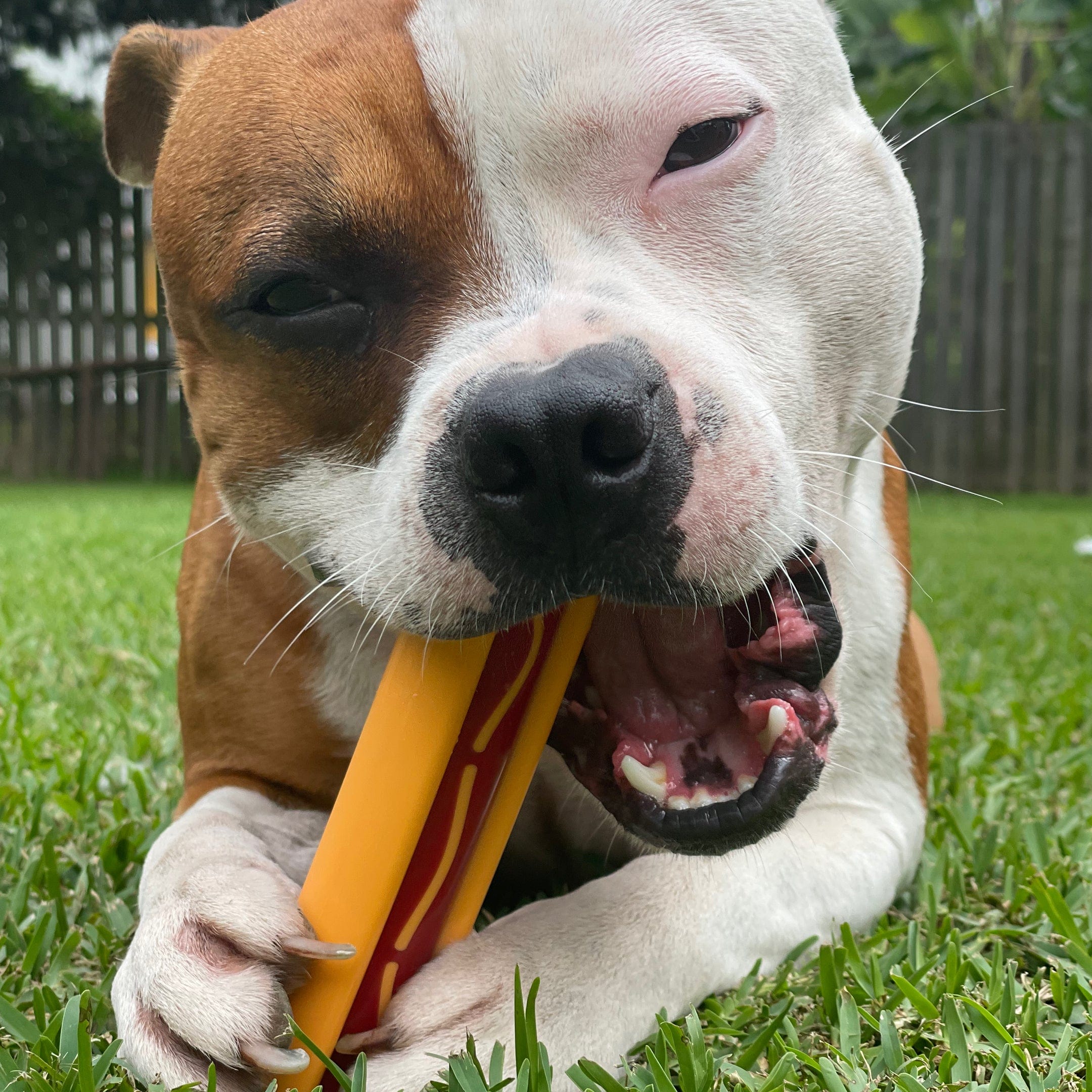 Nylon Hot Dog-Dog Toy-Rover Pet Products