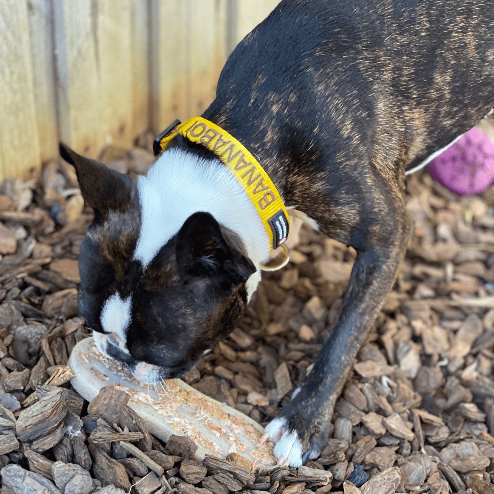 Nylon Peanut-Unclassified-Rover Pet Products