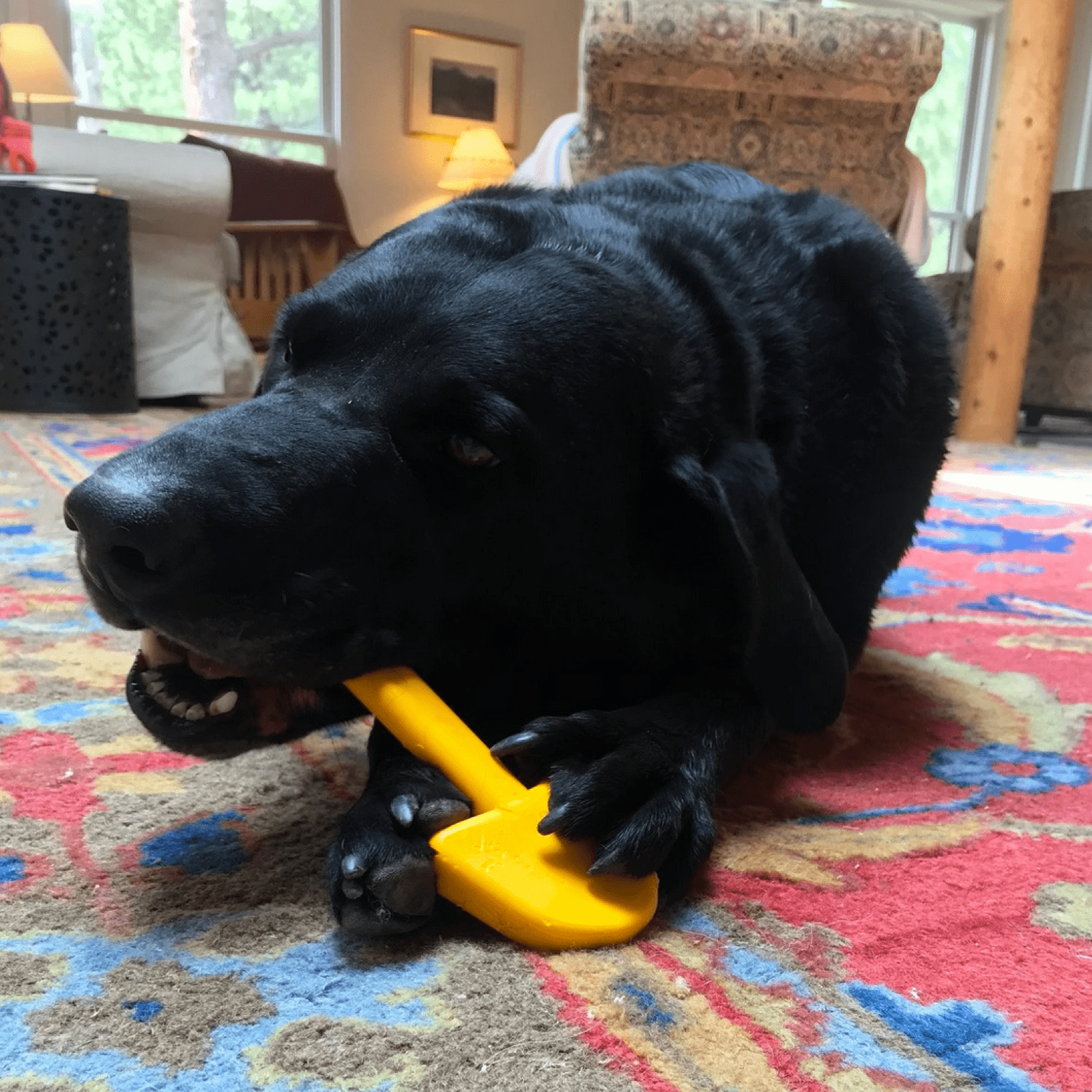 Nylon Shovel-Dog Toy-Rover Pet Products