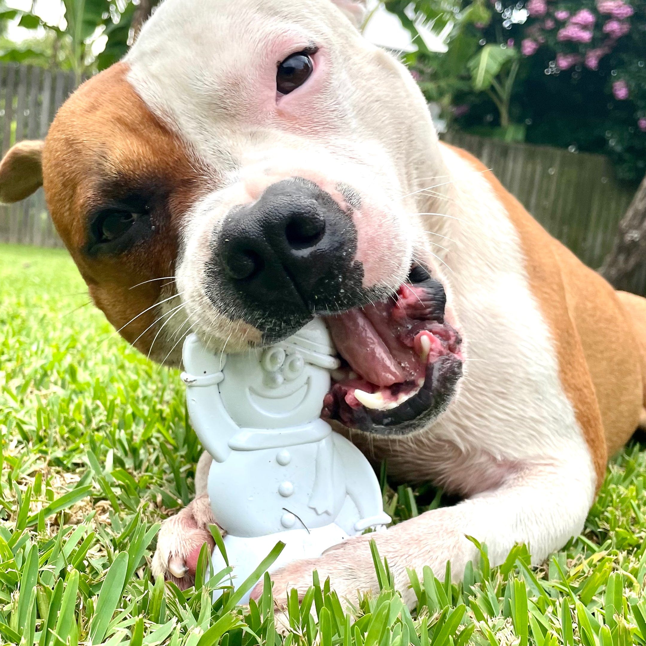 Nylon Snowman-Dog Toy-Rover Pet Products