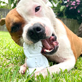 Nylon Snowman-Dog Toy-Rover Pet Products