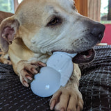 Nylon Snowman-Dog Toy-Rover Pet Products