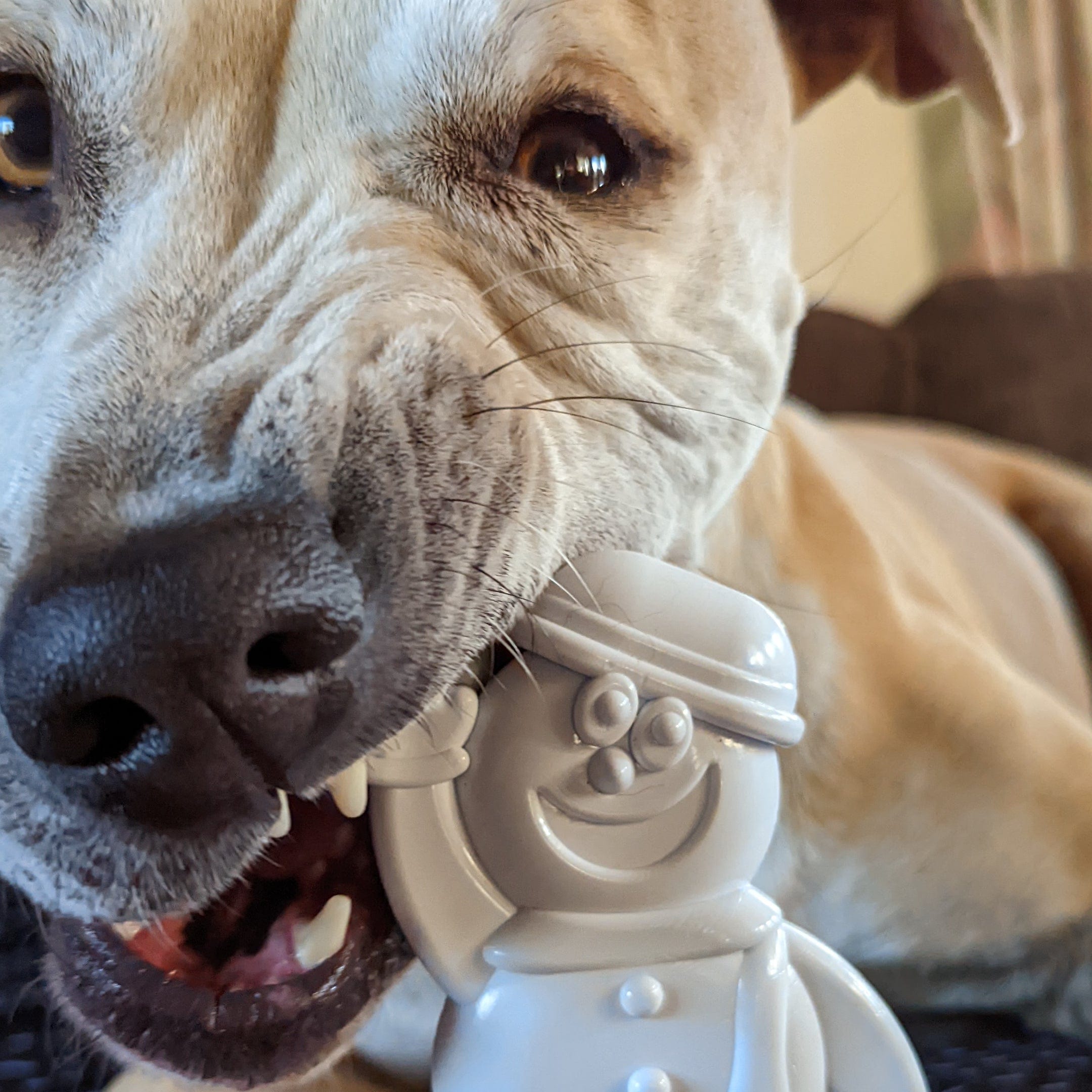 Nylon Snowman-Dog Toy-Rover Pet Products