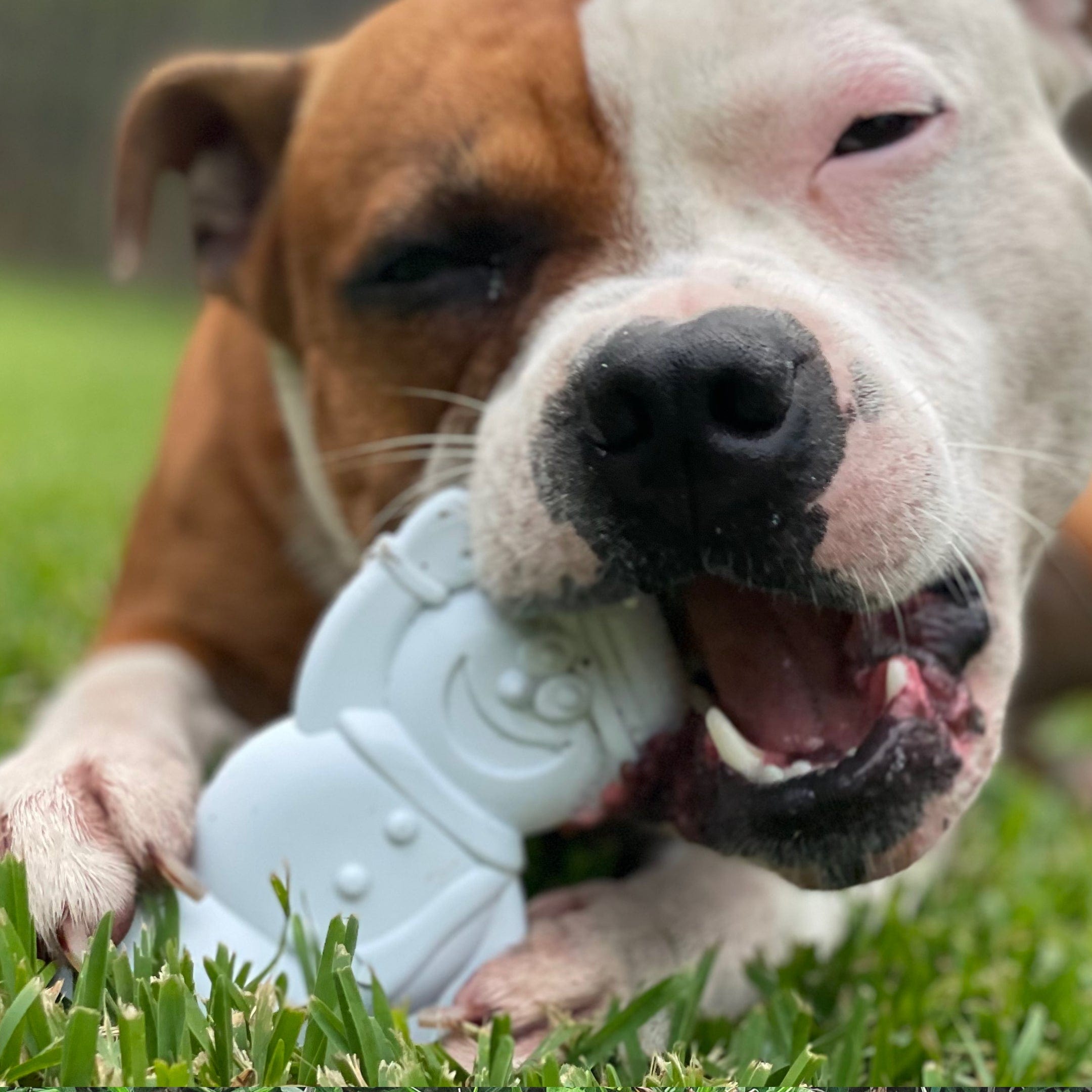 Nylon Snowman-Dog Toy-Rover Pet Products