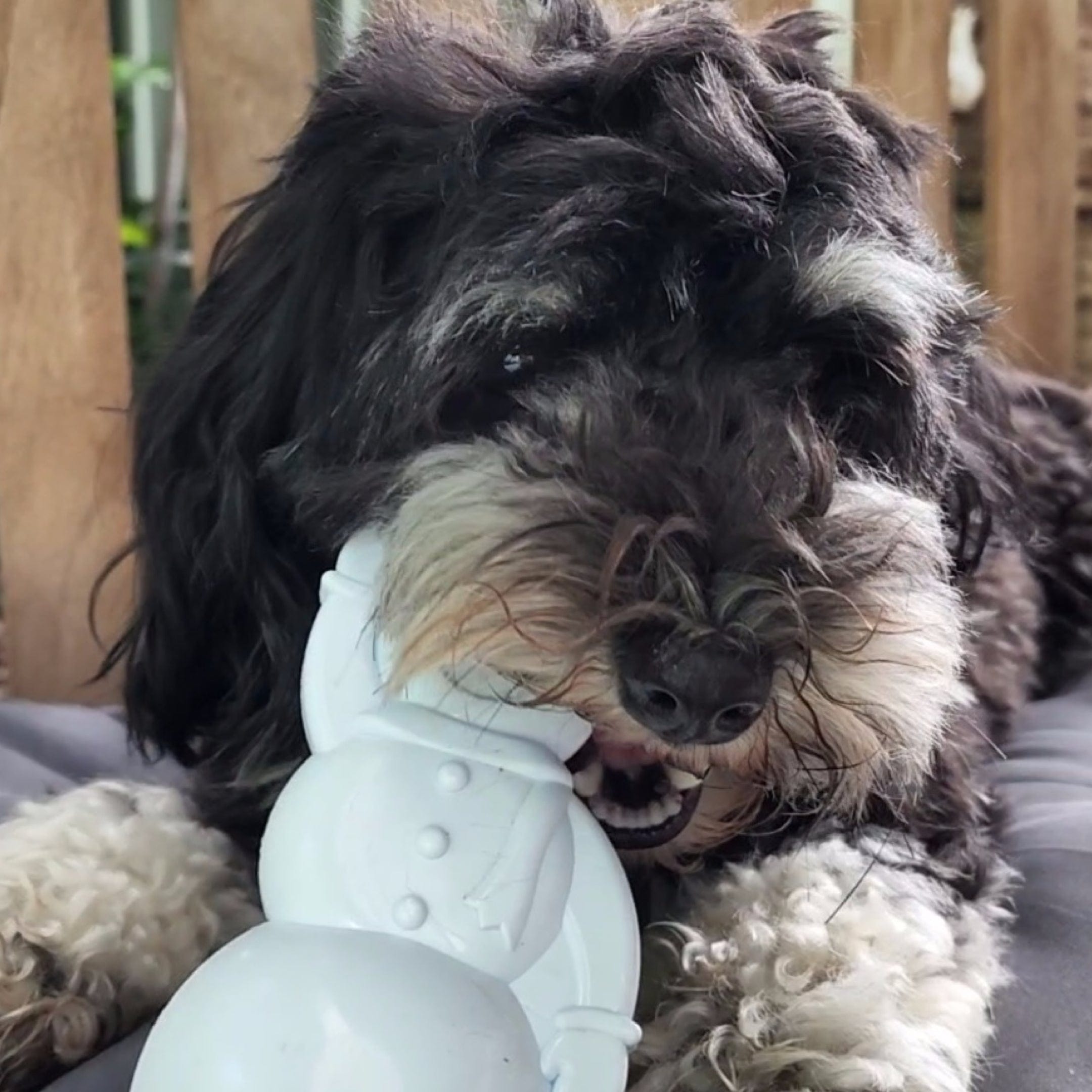 Nylon Snowman-Dog Toy-Rover Pet Products