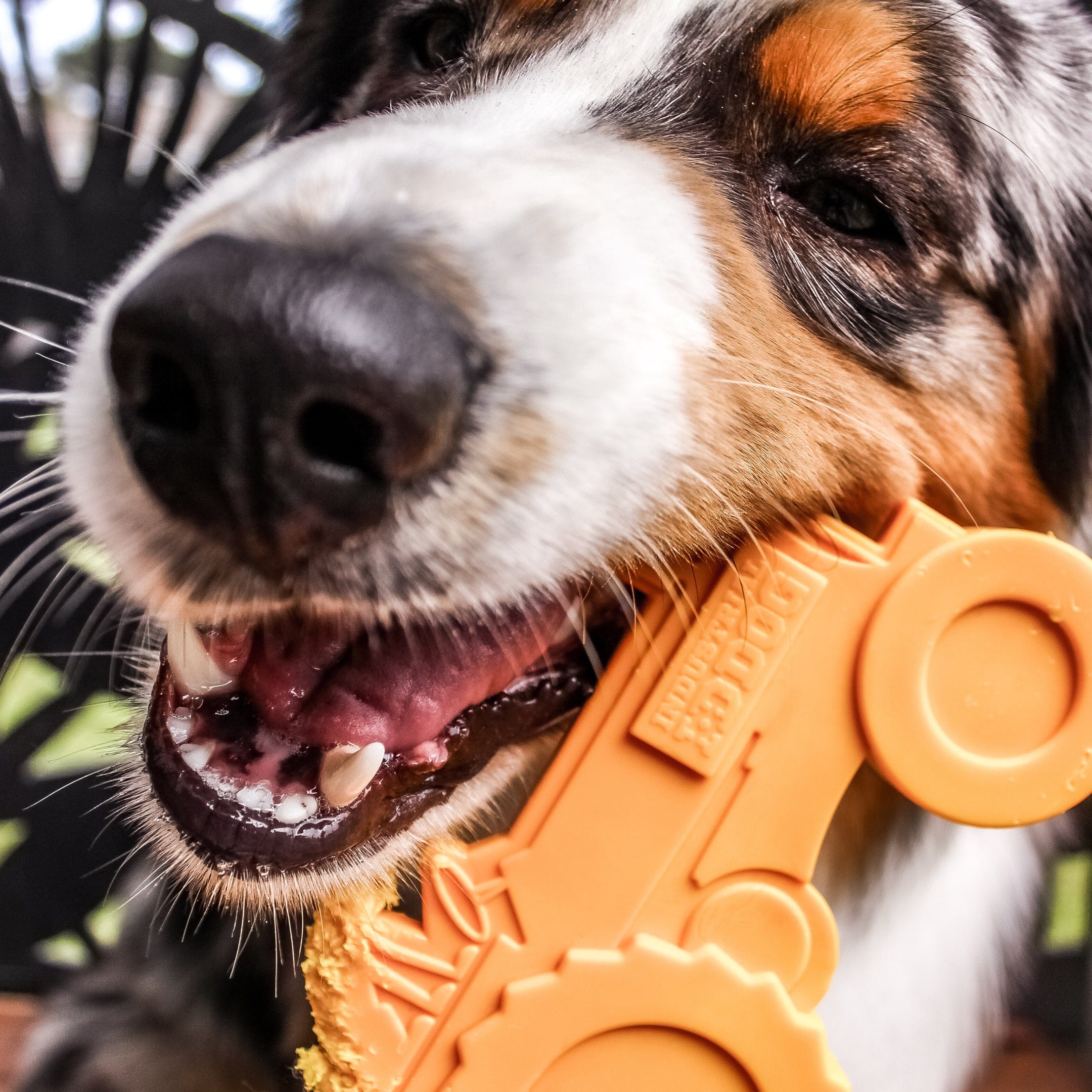 Nylon Tractor-Dog Toy-Rover Pet Products