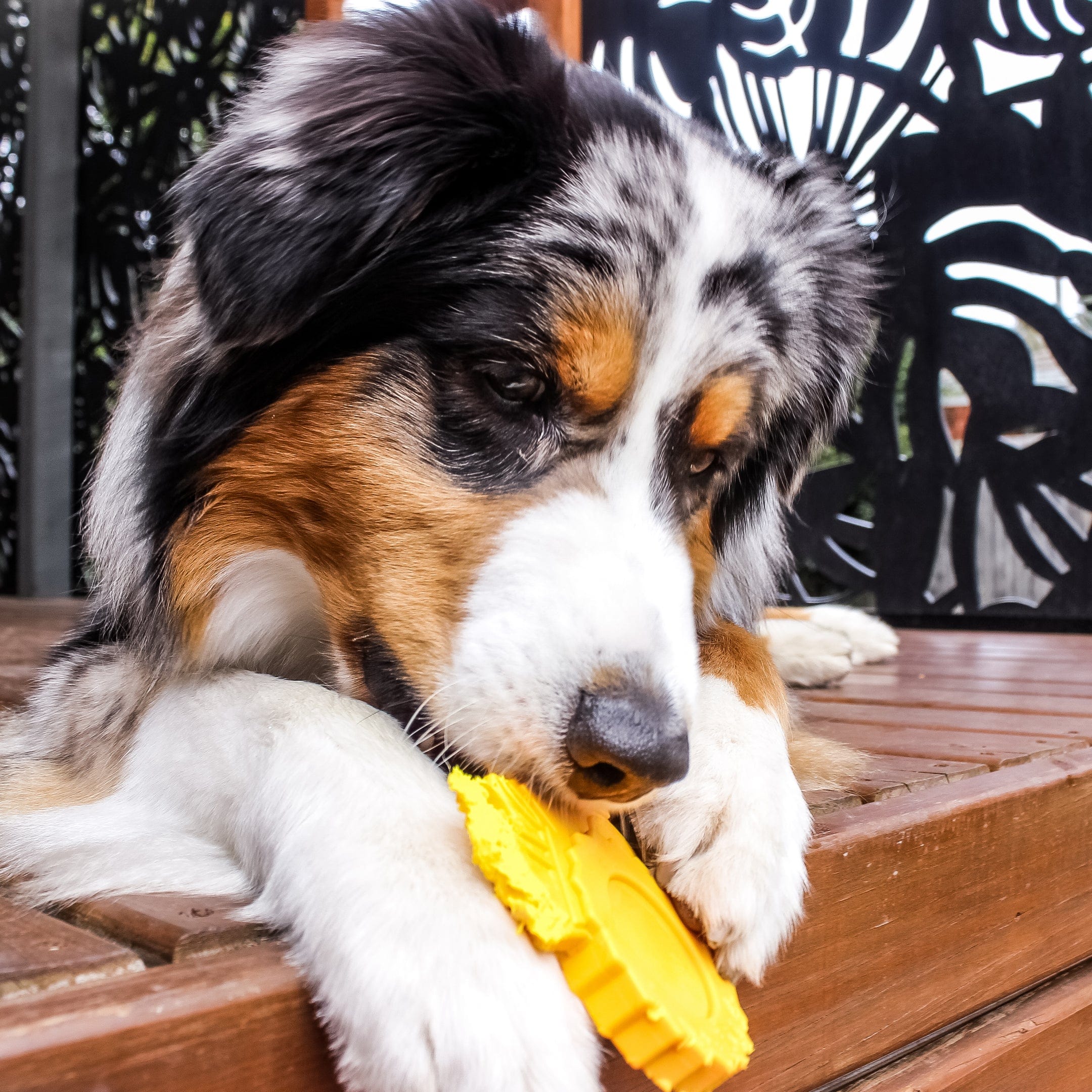 Nylon Tractor-Dog Toy-Rover Pet Products