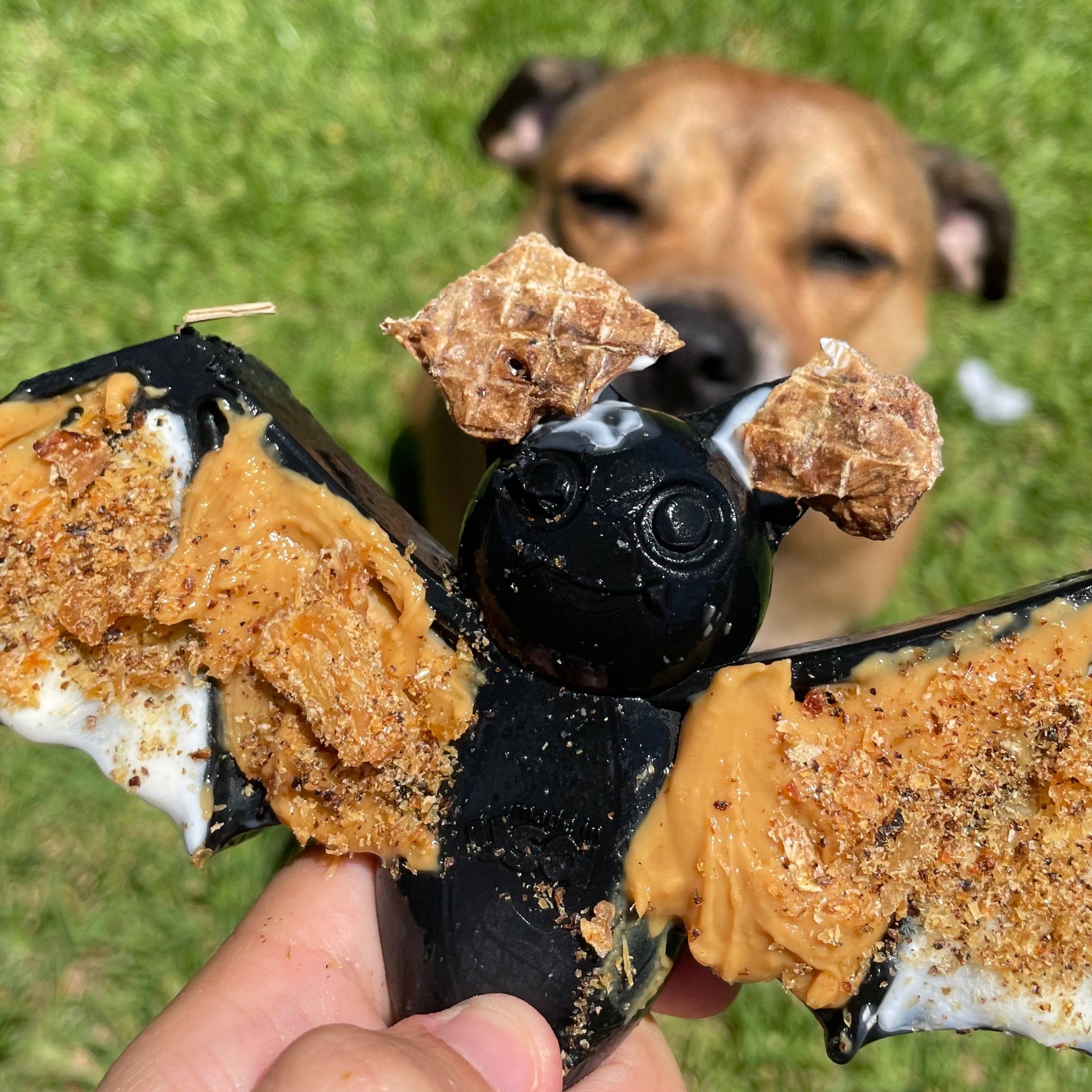 Nylon Vampire Bat-Dog Toy-Rover Pet Products