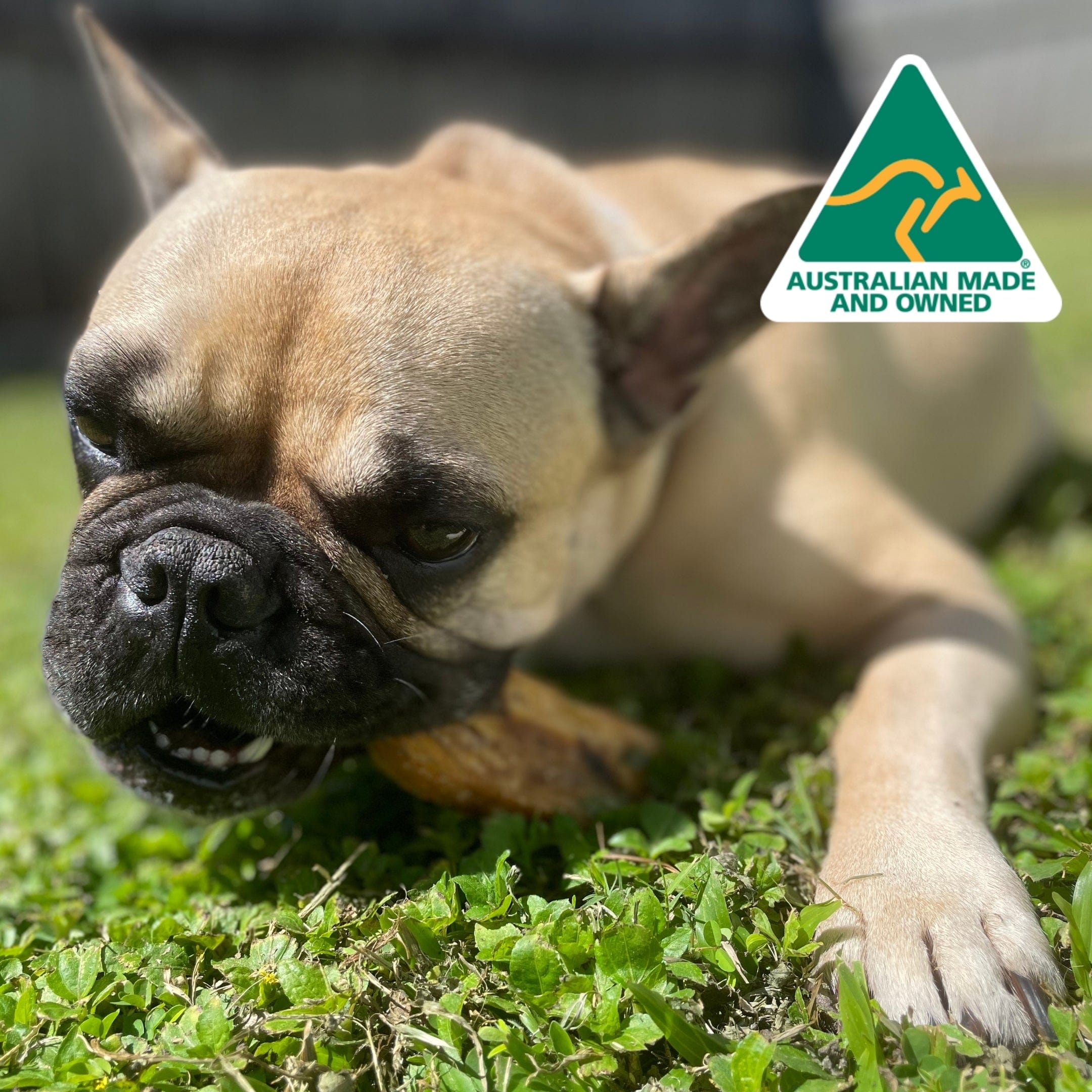 On The Trot - Pig Trotters-Unclassified-Rover Pet Products