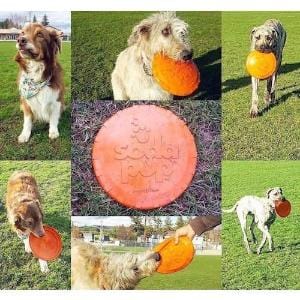 Original Bottle Top Flyers-Dog Toy-Rover Pet Products