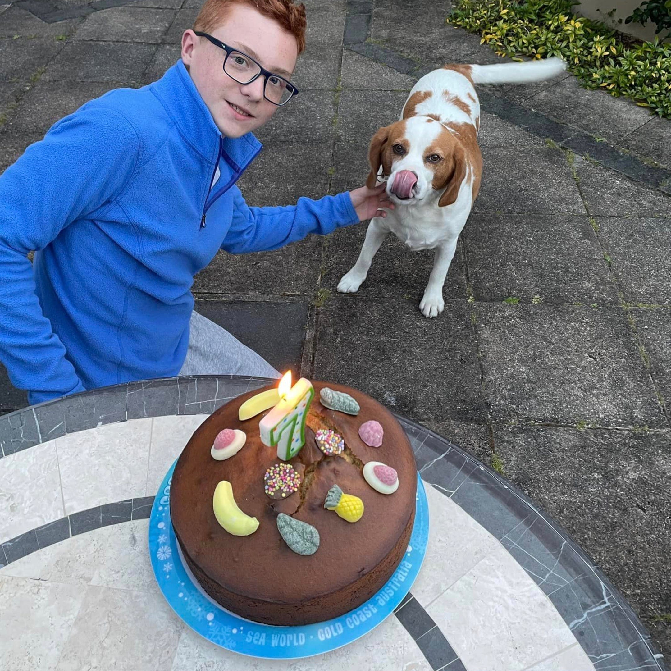 Pawty Cake-Rover Pet Products