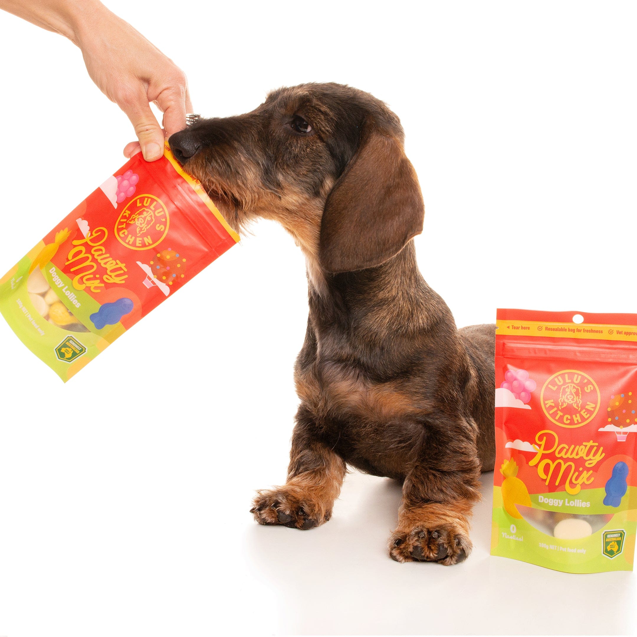 Pawty Mix-Rover Pet Products