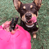 Pink Cupcake-Dog Toy-Rover Pet Products