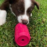 Puppy Can Toy - for soft gums and teething puppies.-Dog Toy-Rover Pet Products