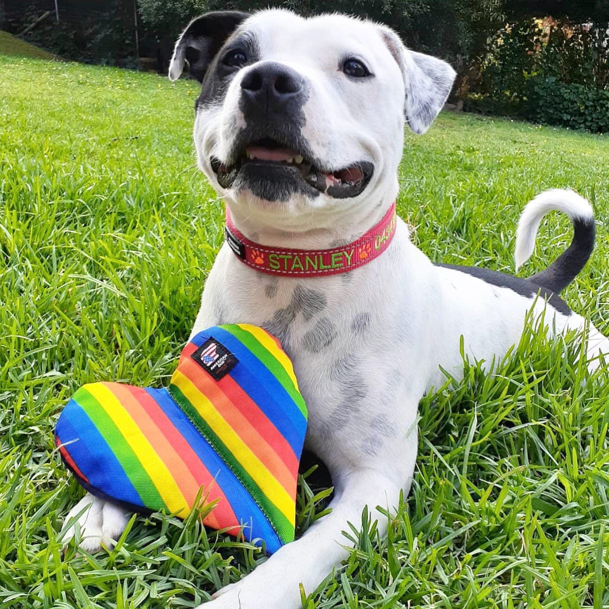 Rainbow Fur-Ever Hearts-Rover Pet Products