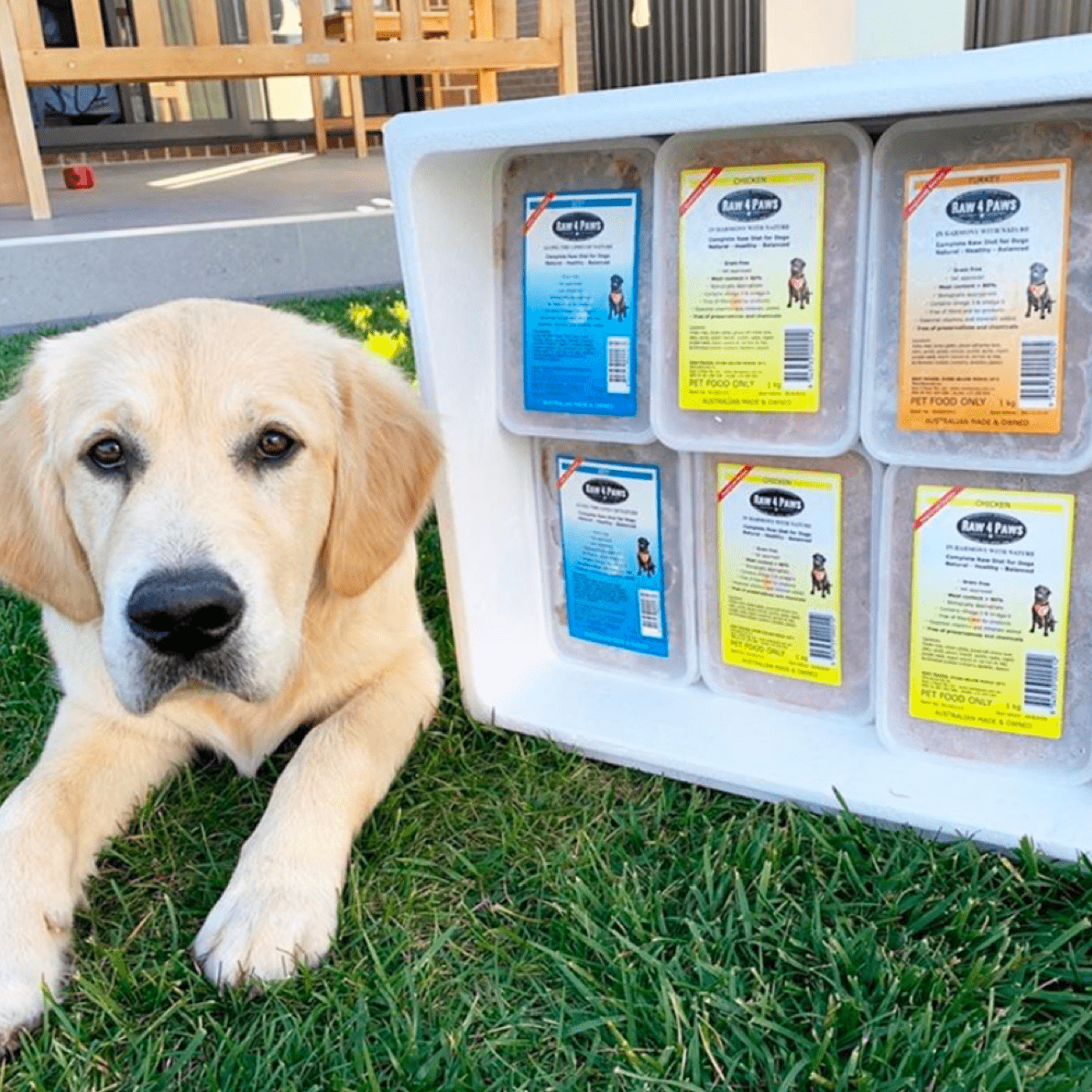 Raw Combo!-Rover Pet Products