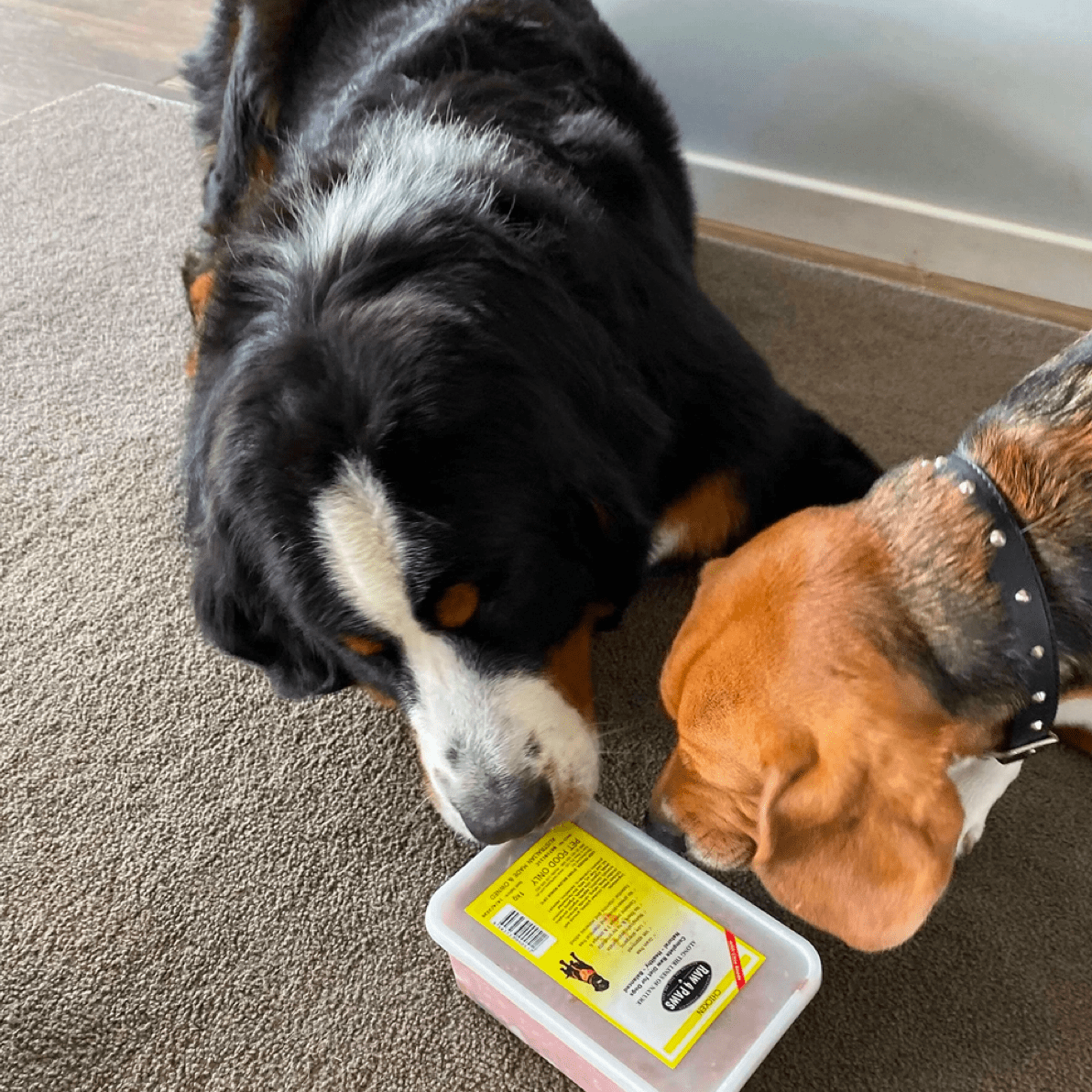 Raw Combo!-Rover Pet Products