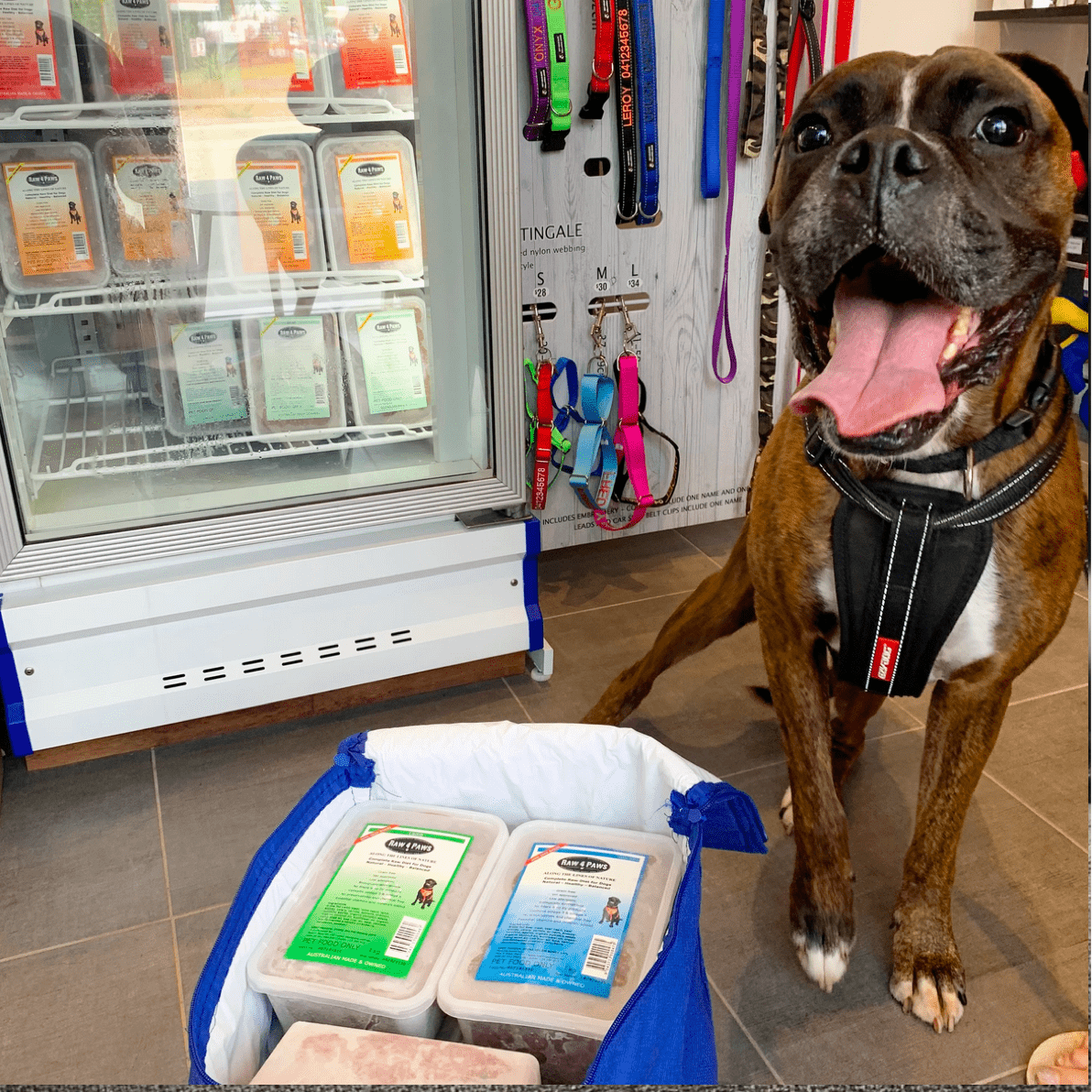 Raw Combo!-Rover Pet Products