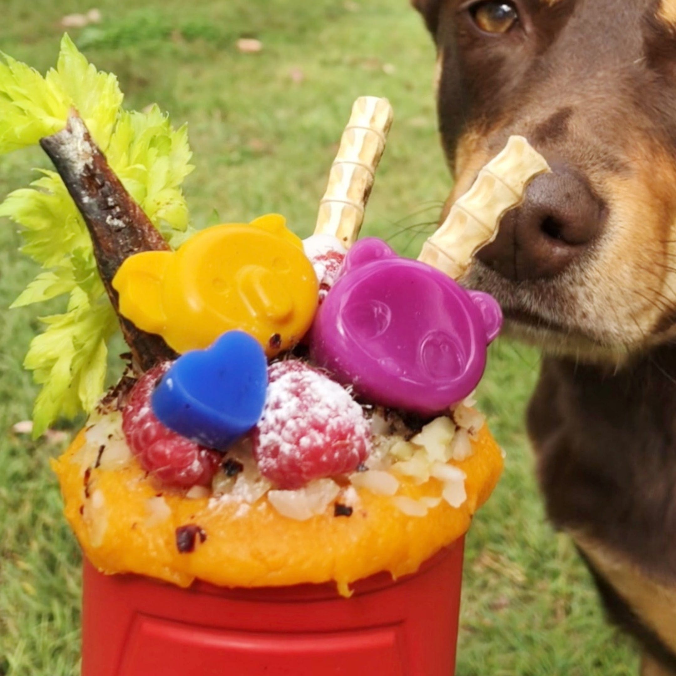 Retro Sodacan-Dog Toy-Rover Pet Products