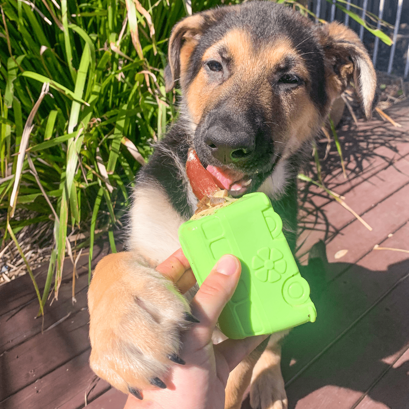 Retro Van-Dog Toy-Rover Pet Products