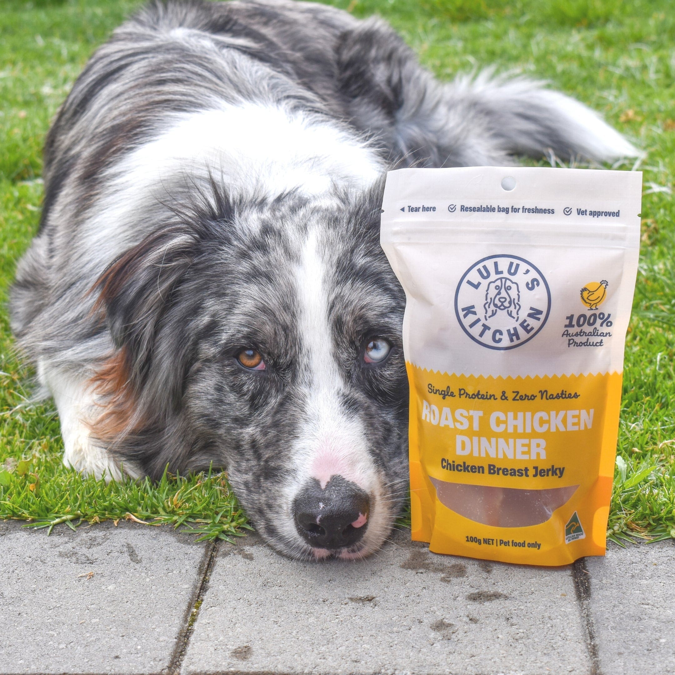 Roast Chicken Dinner - Chicken Breast Jerky-Dog Treat-Rover Pet Products