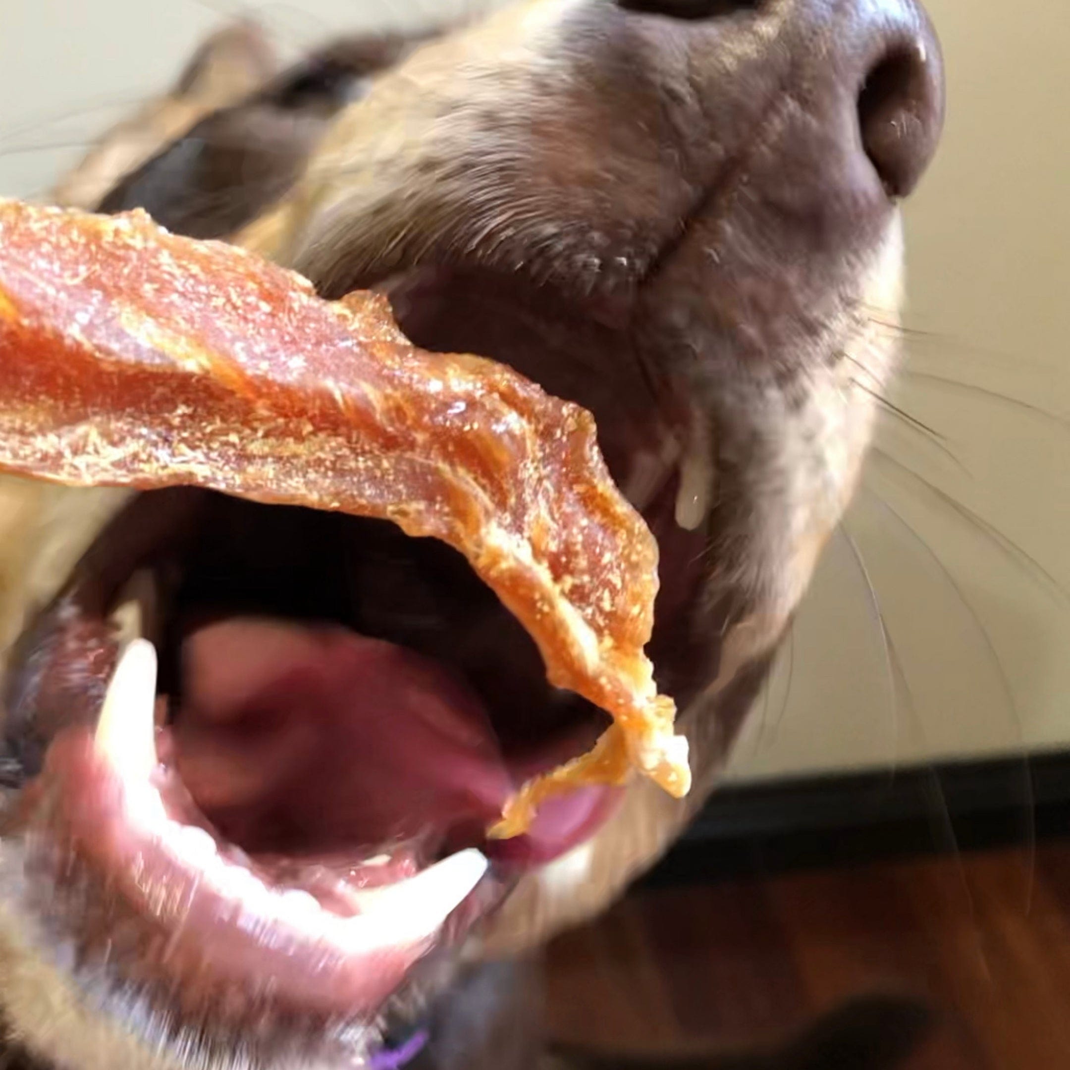 Roast Chicken Dinner - Chicken Breast Jerky-Dog Treat-Rover Pet Products