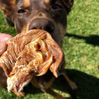 Roast Chicken Dinner - Chicken Breast Jerky-Dog Treat-Rover Pet Products