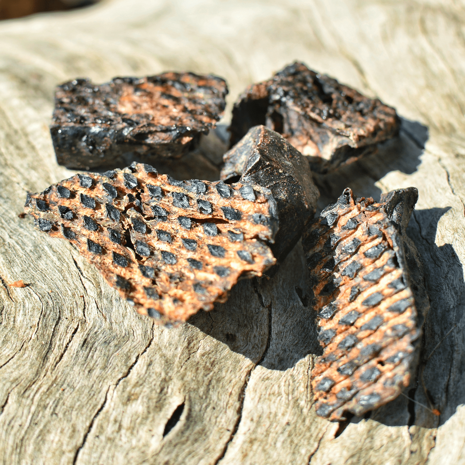 Roo-Bix Qubes - Kangaroo Jerky-Dog Treat-Rover Pet Products