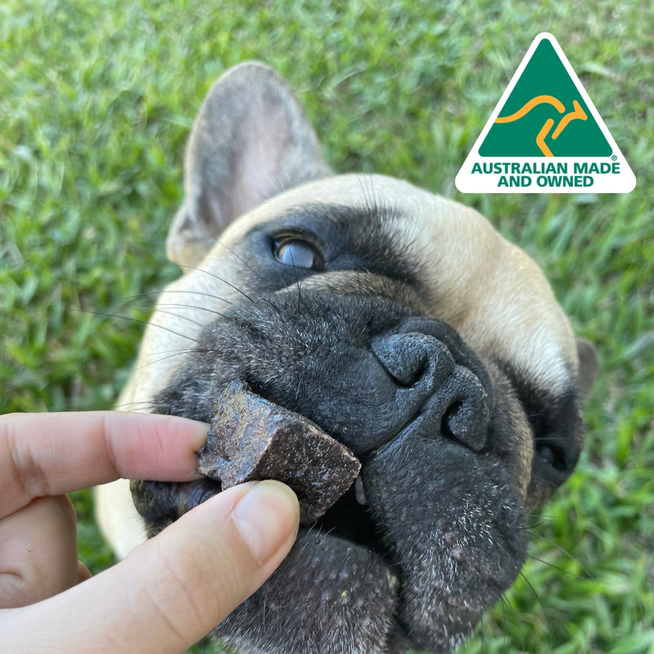 Roo-Bix Qubes - Kangaroo Jerky-Dog Treat-Rover Pet Products