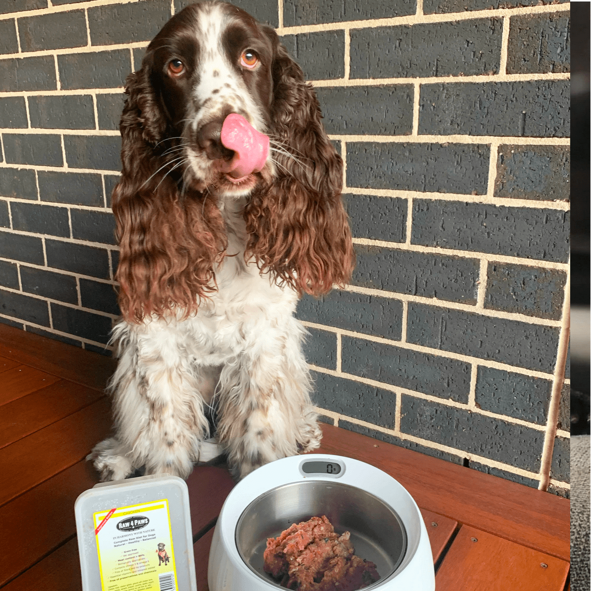 Raw Combo!-Rover Pet Products