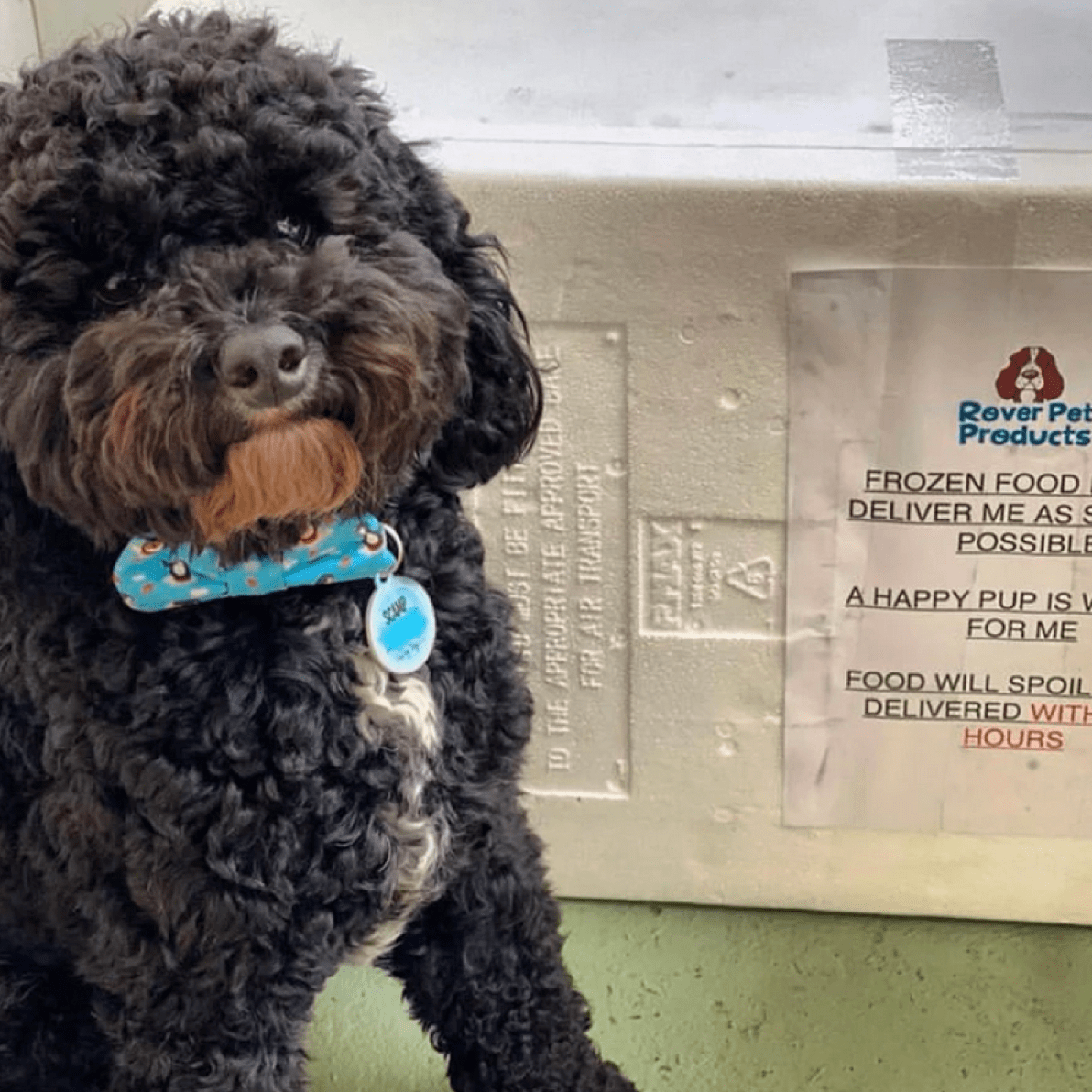 Raw Combo!-Rover Pet Products