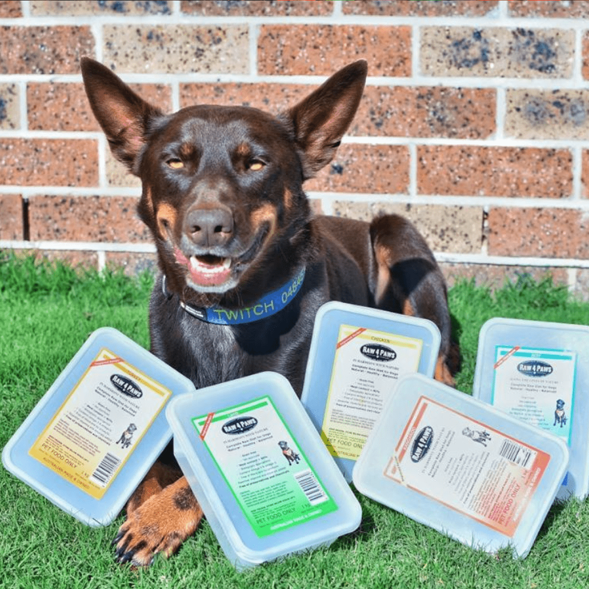 Raw Combo!-Rover Pet Products