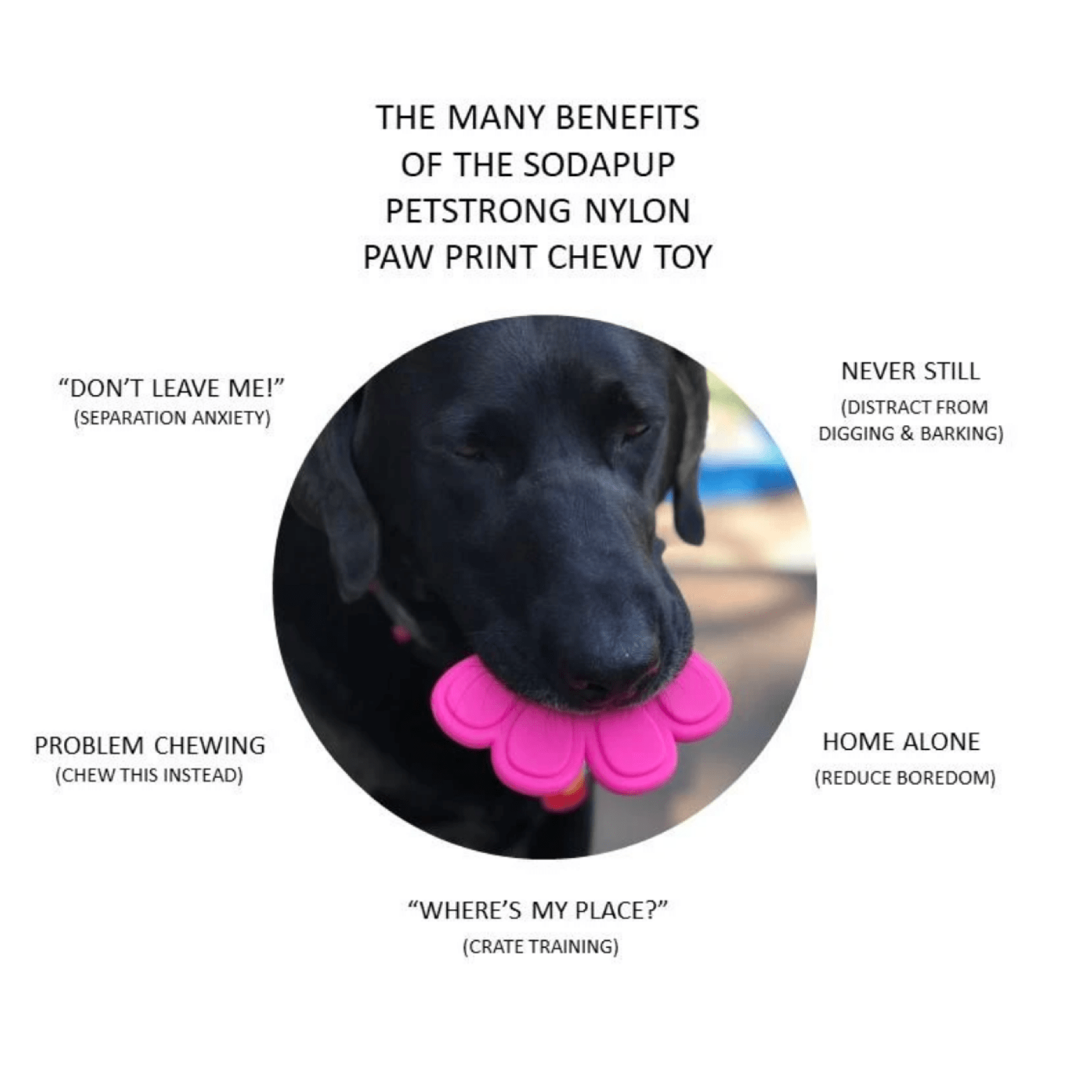 Nylon Paw (Power Chewers)-Chew Toy-Rover Pet Products