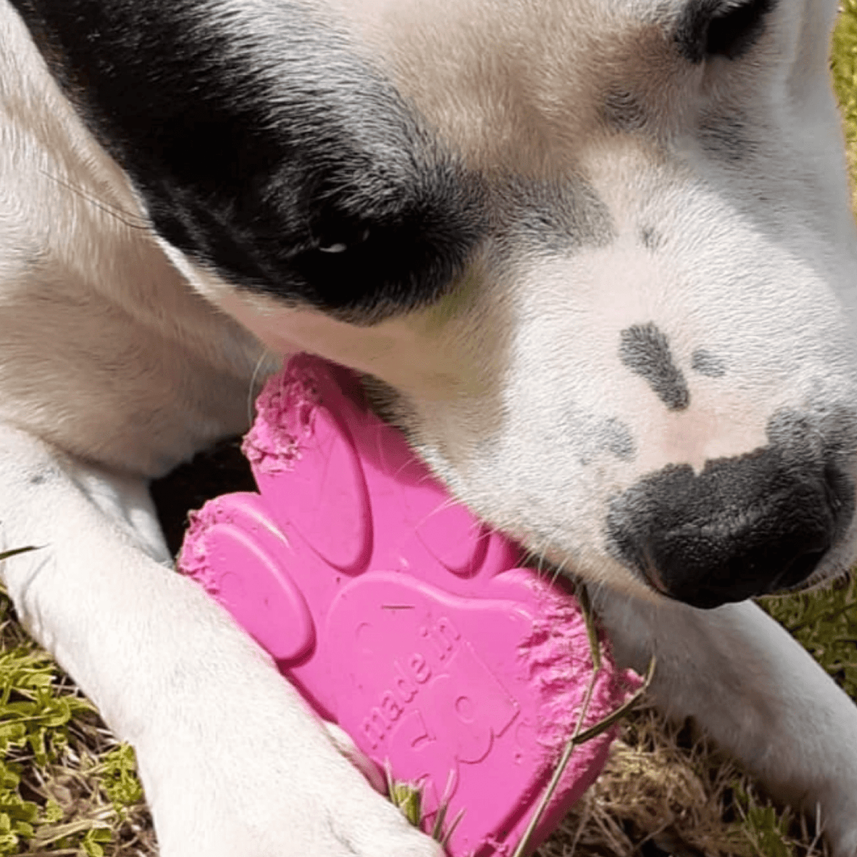 Nylon Paw (Power Chewers)-Chew Toy-Rover Pet Products