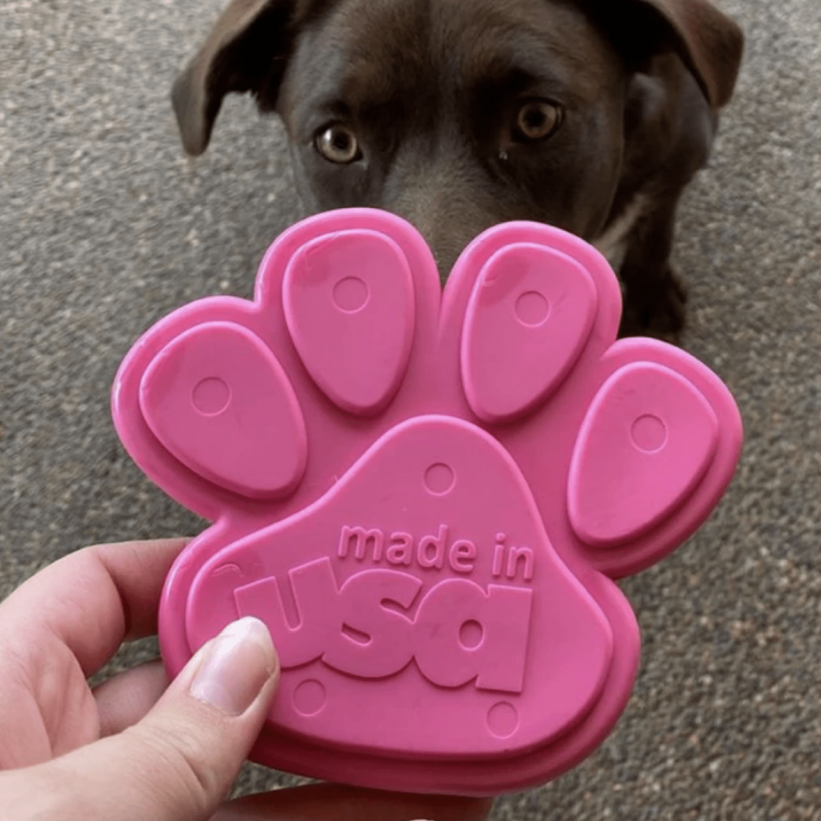 Nylon Paw (Power Chewers)-Chew Toy-Rover Pet Products