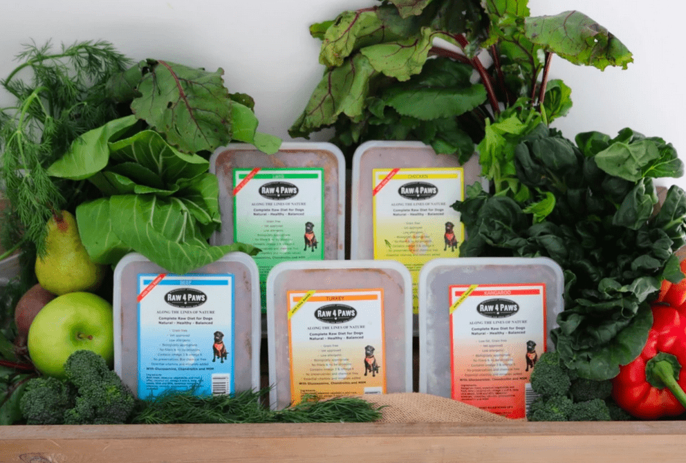 Hayley Food + Treats (every 4 weeks)-Rover Pet Products