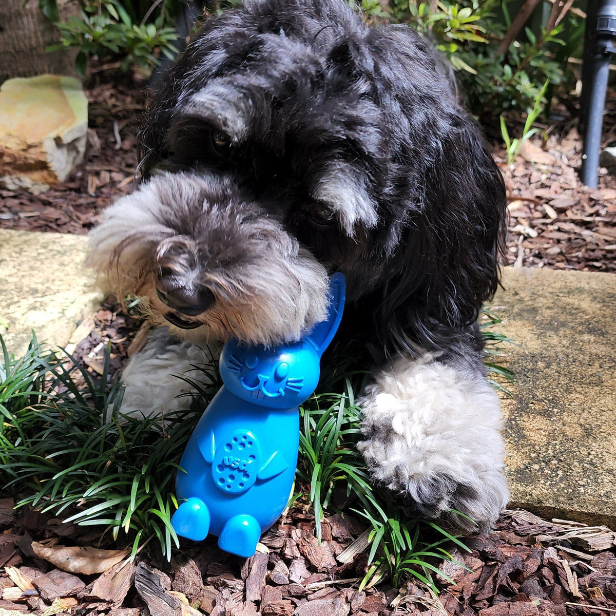 Easter Nylon Bunny-Dog Toy-Rover Pet Products