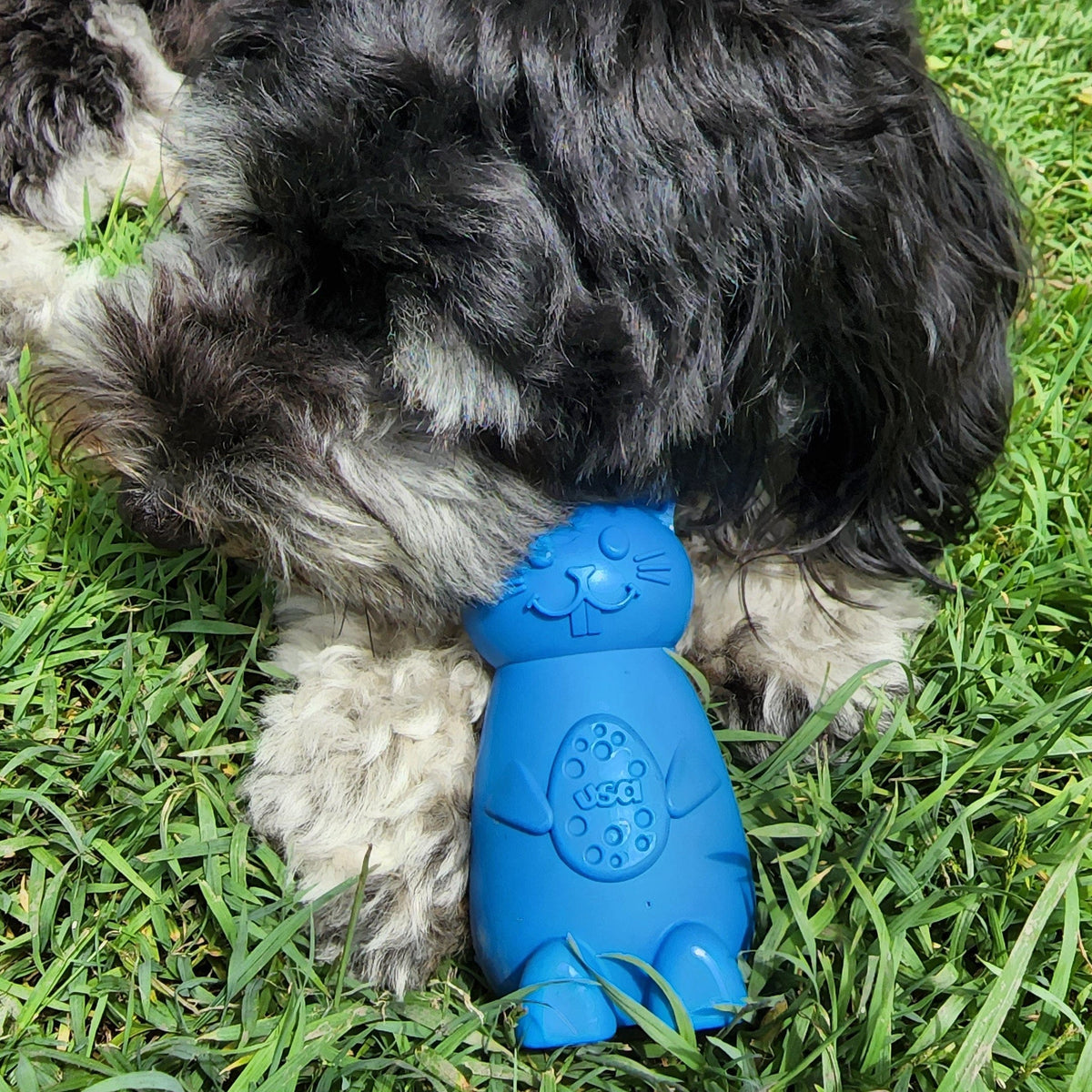 Easter Nylon Bunny-Dog Toy-Rover Pet Products