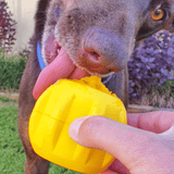 Gear-Dog Toy-Rover Pet Products