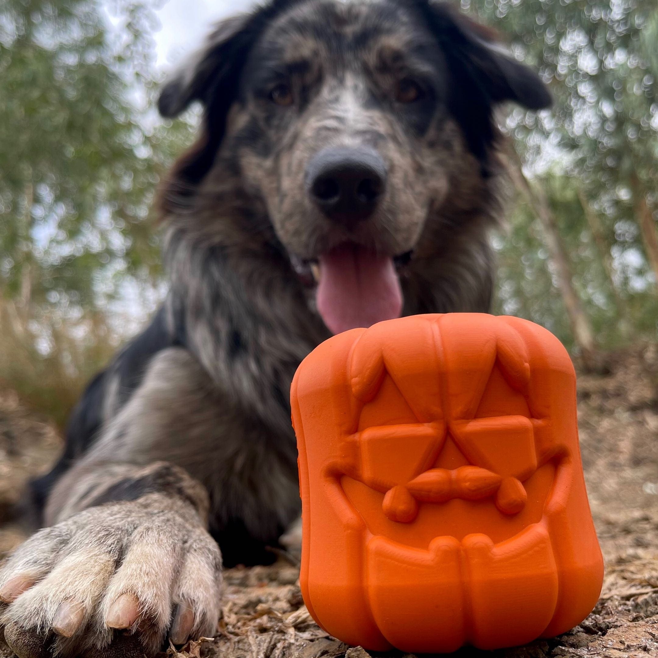 Jack O' Lantern-Dog Toy-Rover Pet Products