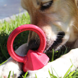 Nylon Diamond Teeth Ring-Dog Toy-Rover Pet Products