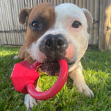 Nylon Diamond Teeth Ring-Dog Toy-Rover Pet Products