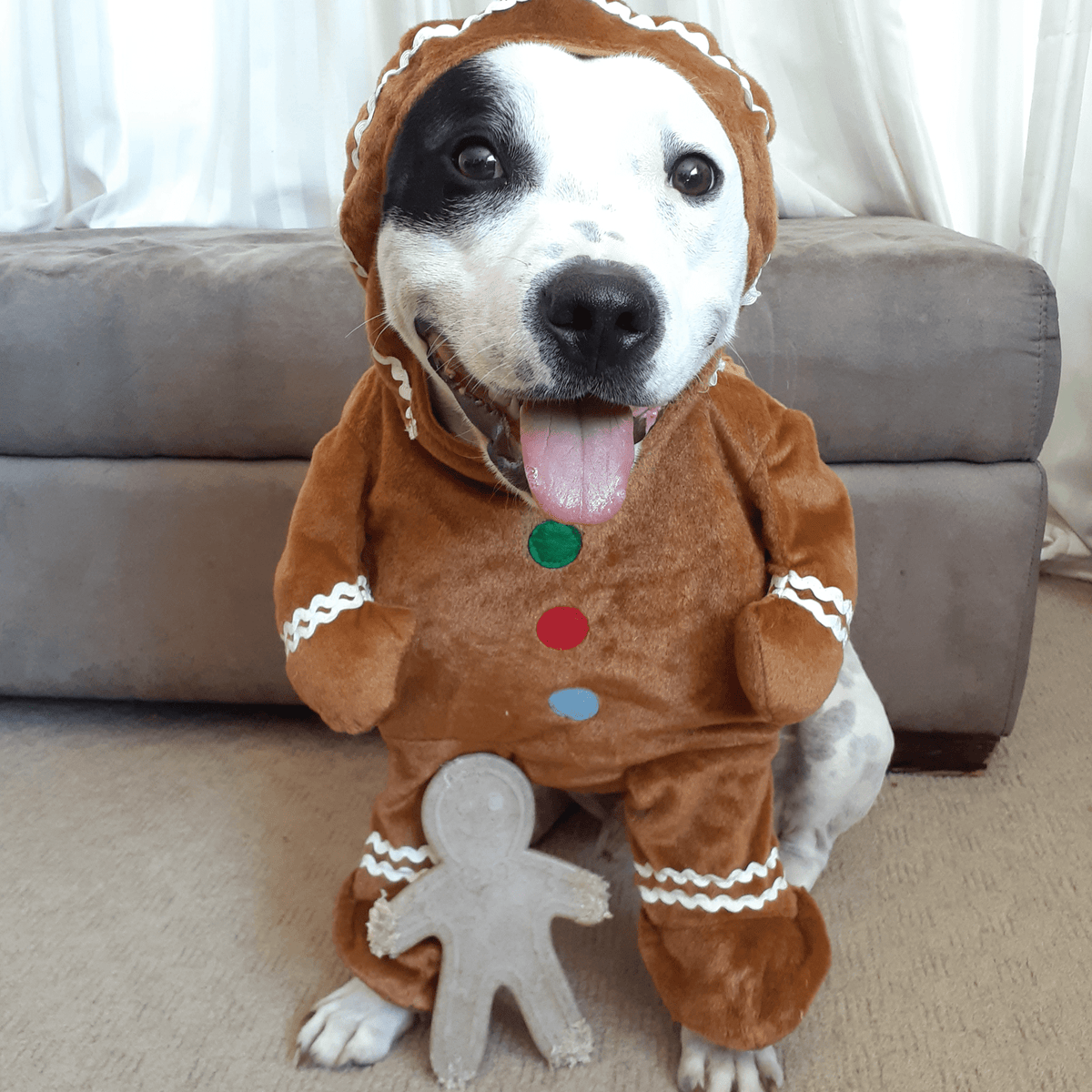 Nylon Gingerbread Man-Dog Toy-Rover Pet Products
