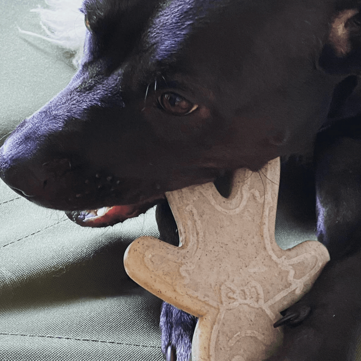 Nylon Gingerbread Man-Dog Toy-Rover Pet Products