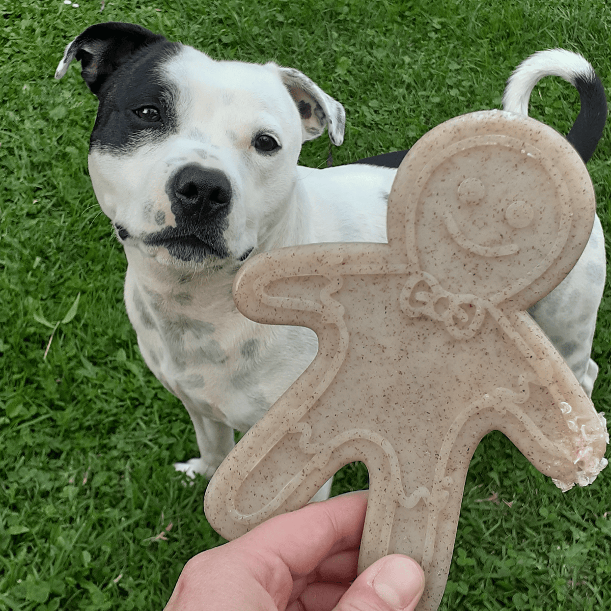 Nylon Gingerbread Man-Dog Toy-Rover Pet Products