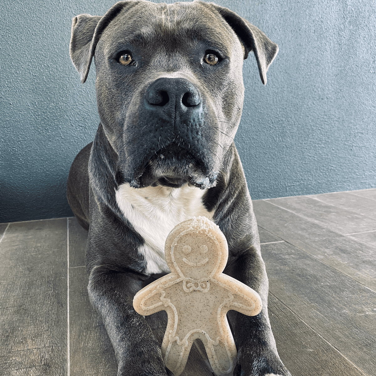 Nylon Gingerbread Man-Dog Toy-Rover Pet Products