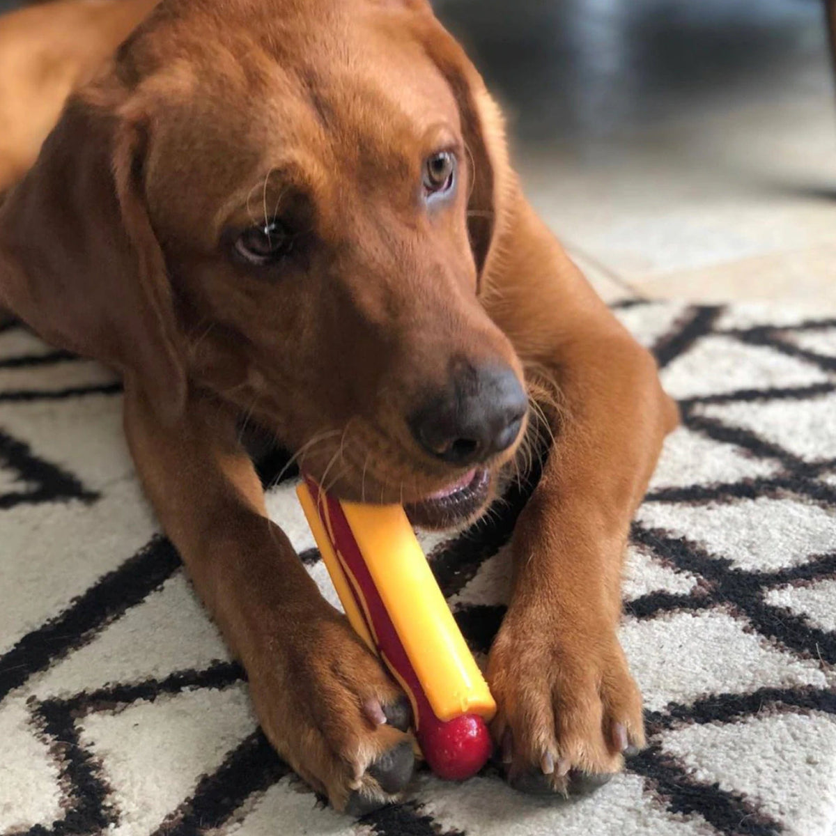 Nylon Hot Dog-Dog Toy-Rover Pet Products